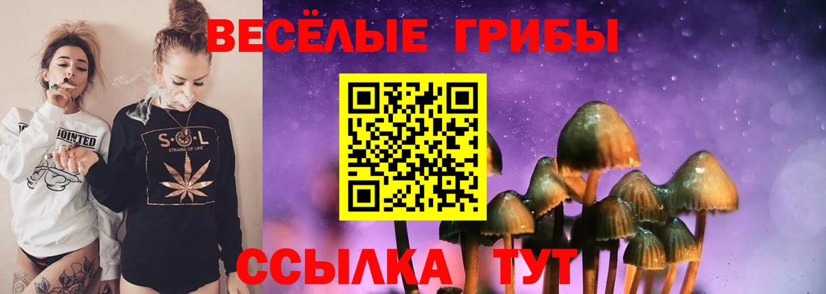 Галлюциногенные грибы прущие грибы  Псилоцибиновые грибы прущие грибы  Будённовск  Вход с VPN 
